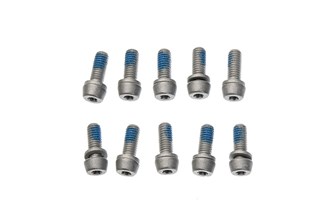 Post Mount Caliper Bolts; Aluminium; Torx 25; M6; 10pc